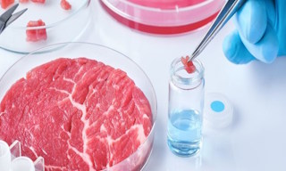 Лабораторный анализ пищевых продуктов по СанПиН в Холмске в октябре