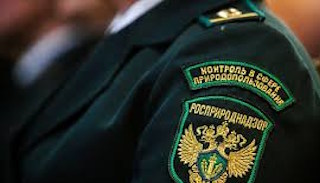 Подготовка к проверке Росприроднадзора в Холмске от ПромМир-Хлм, стоимость услуги от 20542 руб.